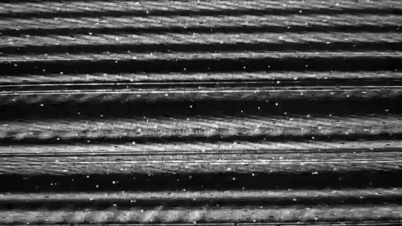 Video Roundup: Yung Nnelg, Ocho&Ibs, Bokoesam, Ray Fuego & Loopey - Patta